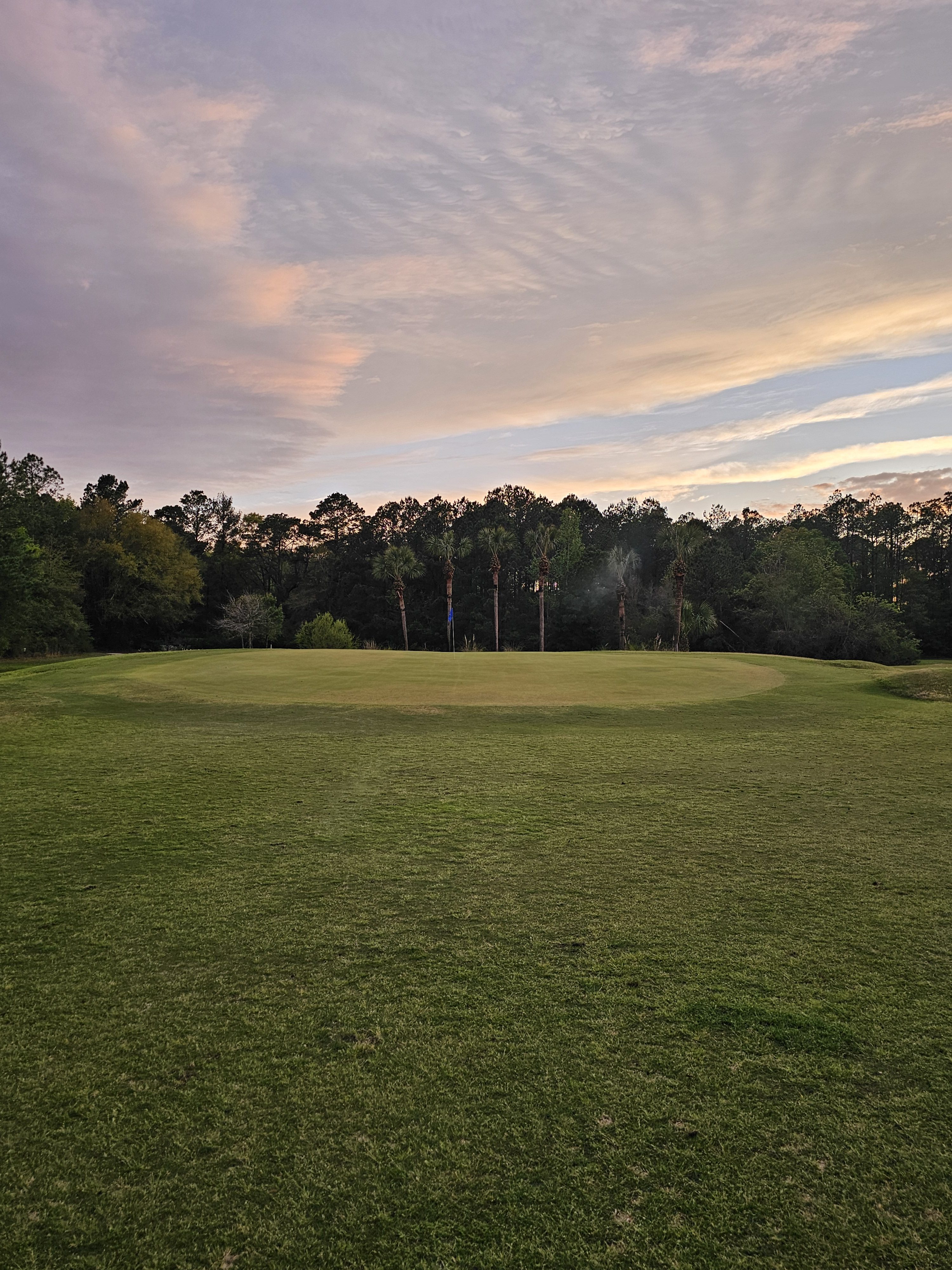 view of golf course