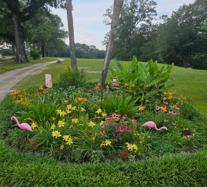 Home Dogwood Lakes Golf Club